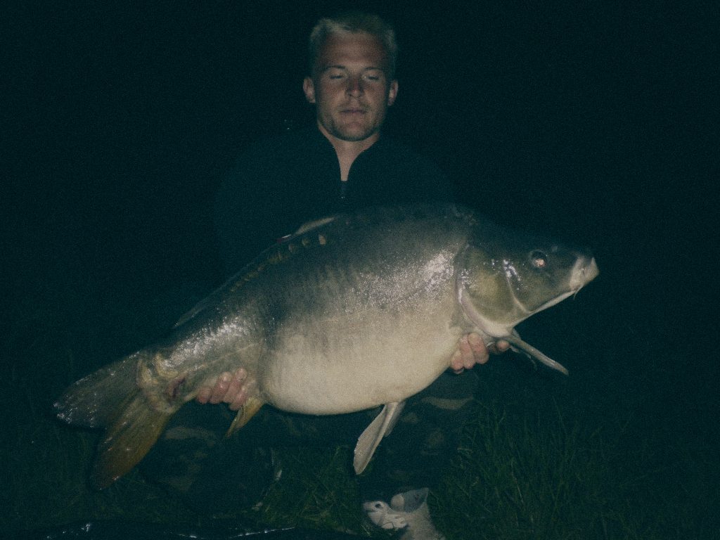 Styria Carp