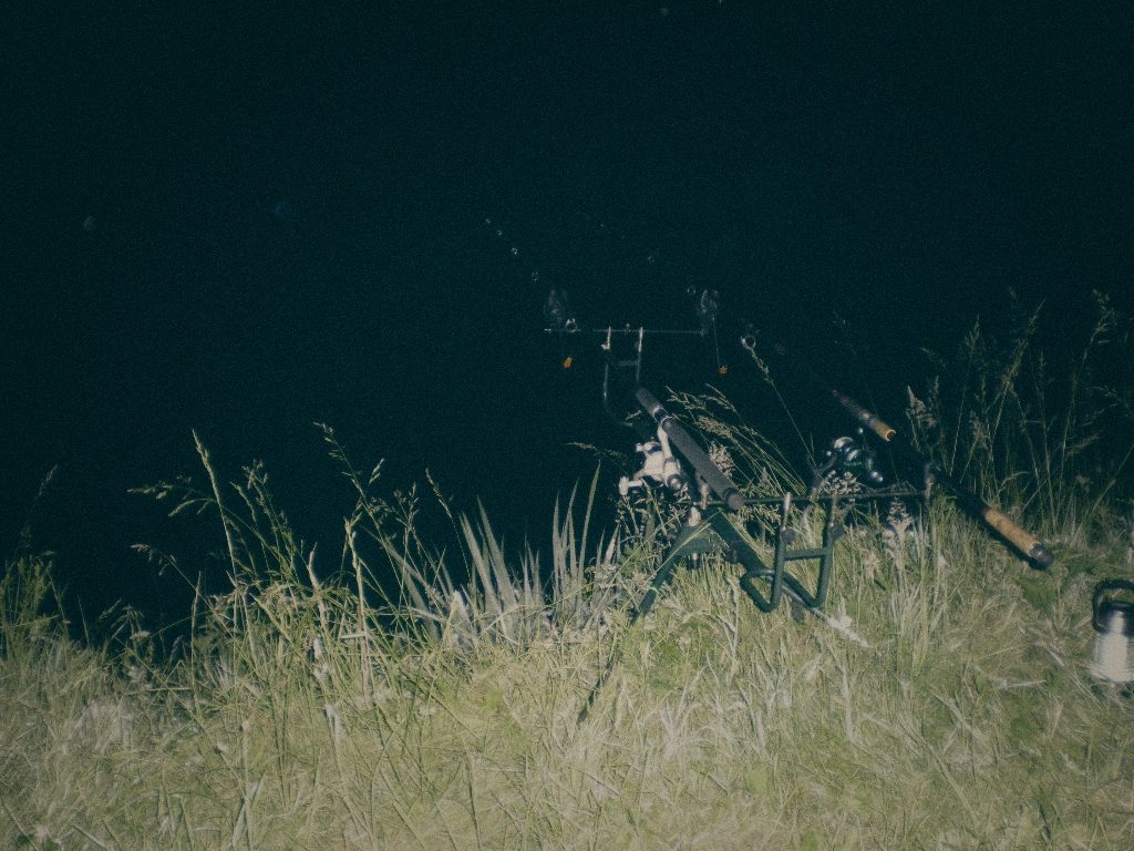Styria Carp