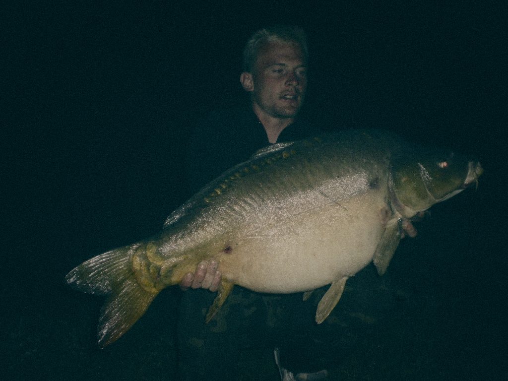 Styria Carp