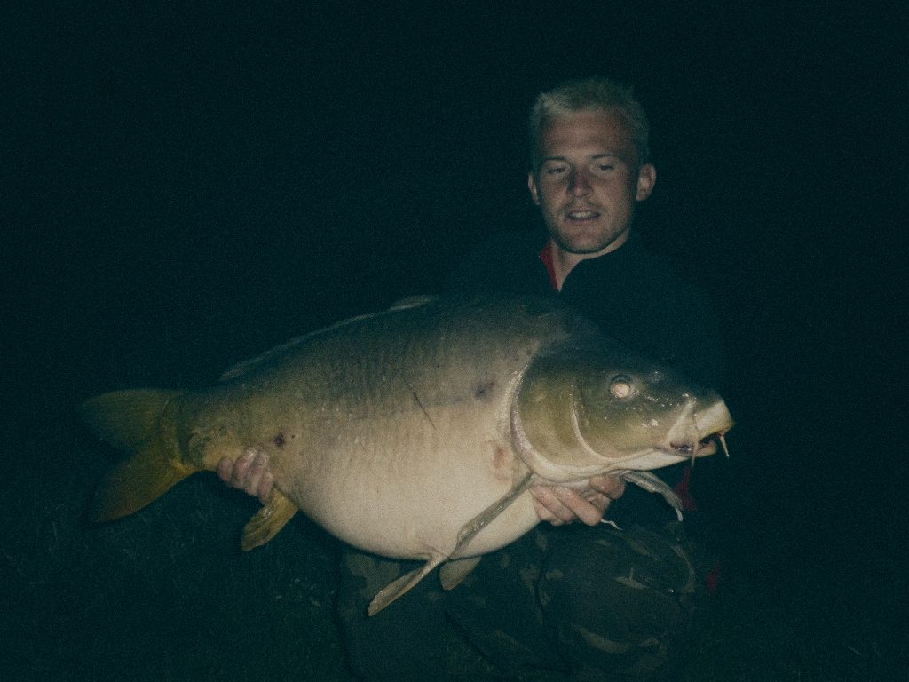 Styria Carp