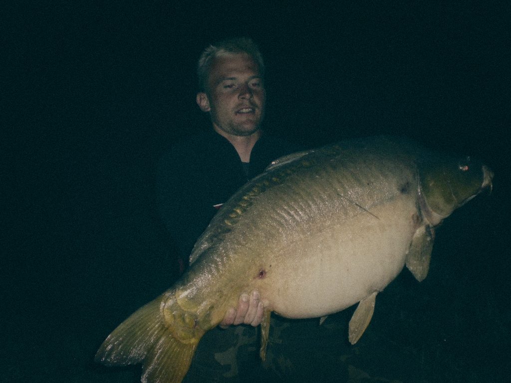 Styria Carp