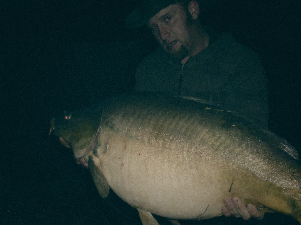 Styria Carp