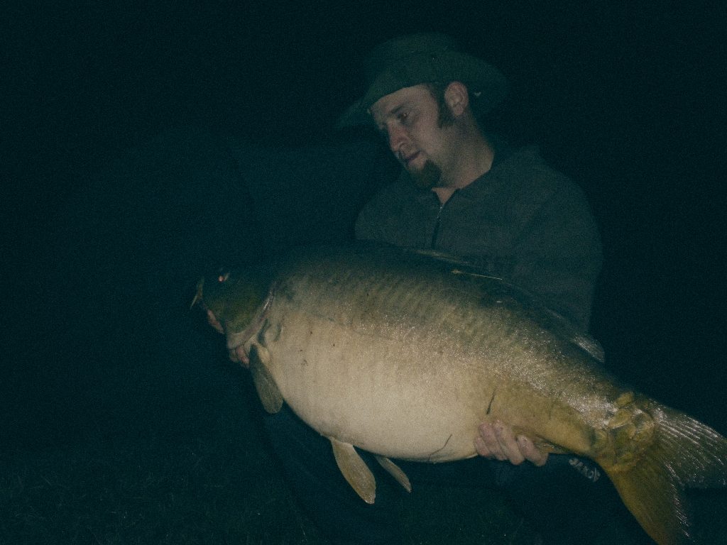 Styria Carp
