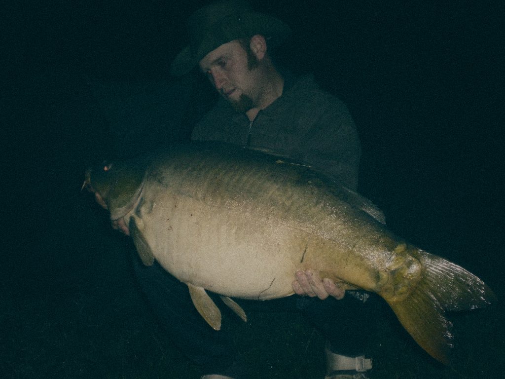 Styria Carp