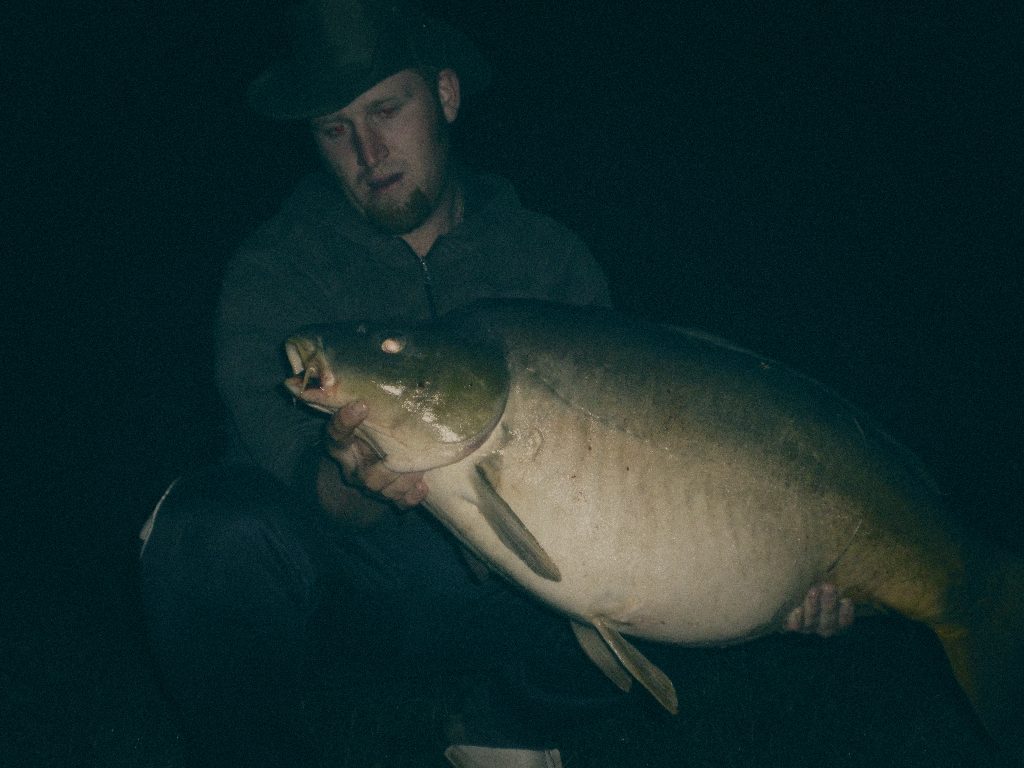 Styria Carp