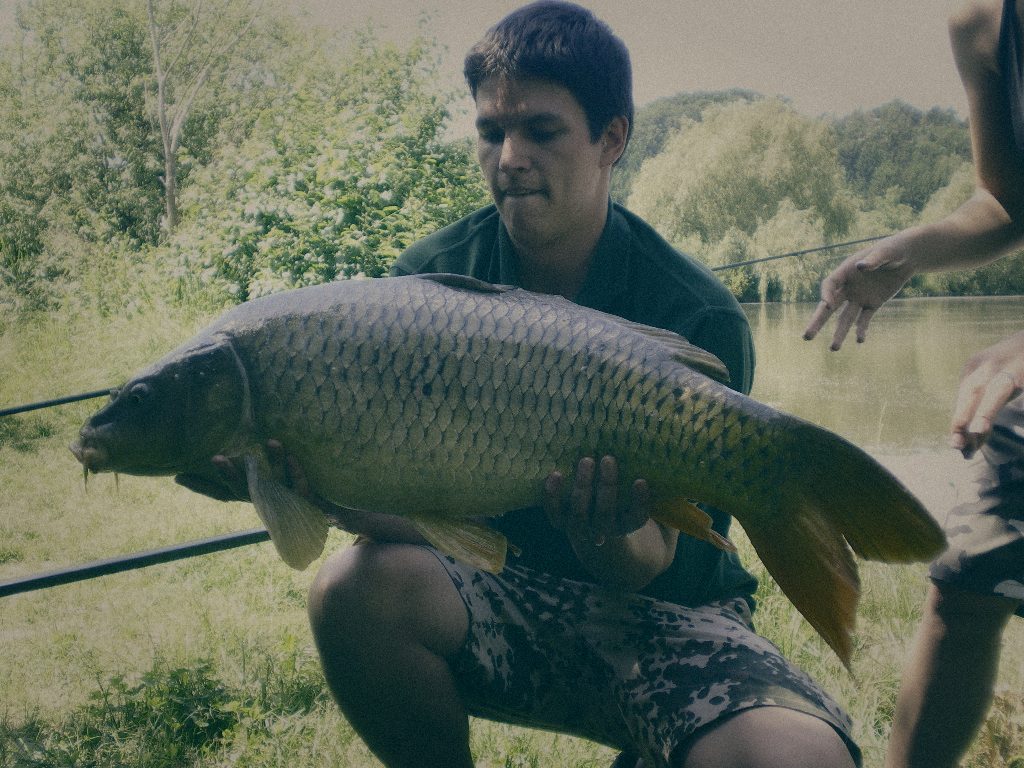 Styria Carp