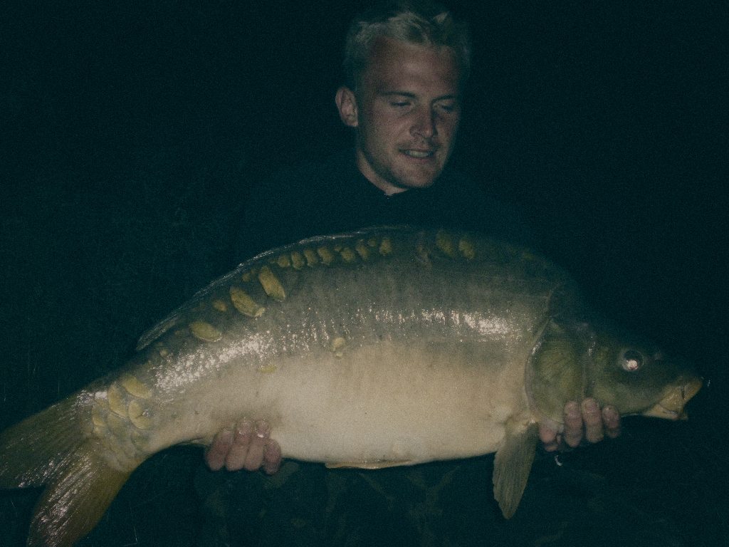 Styria Carp