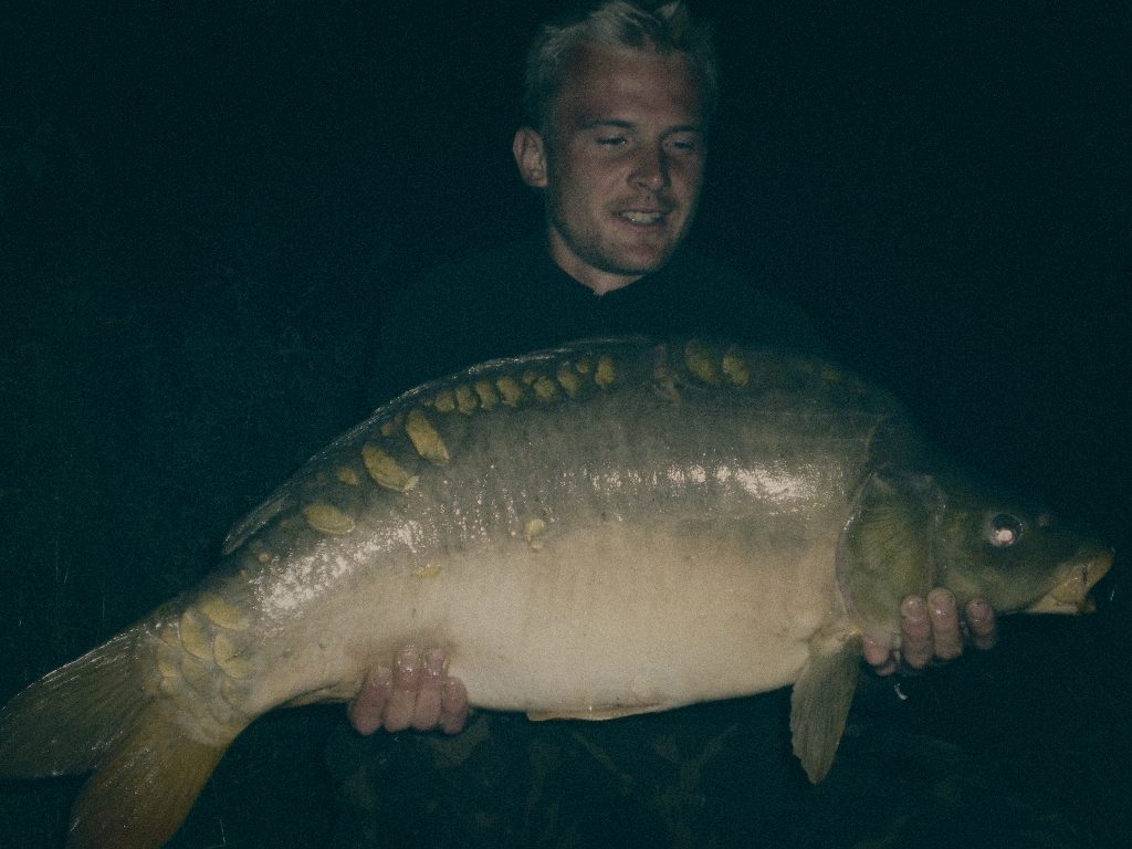 Styria Carp