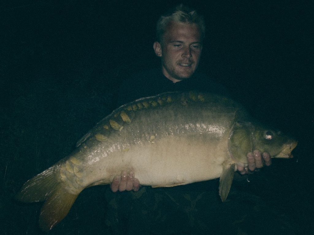 Styria Carp
