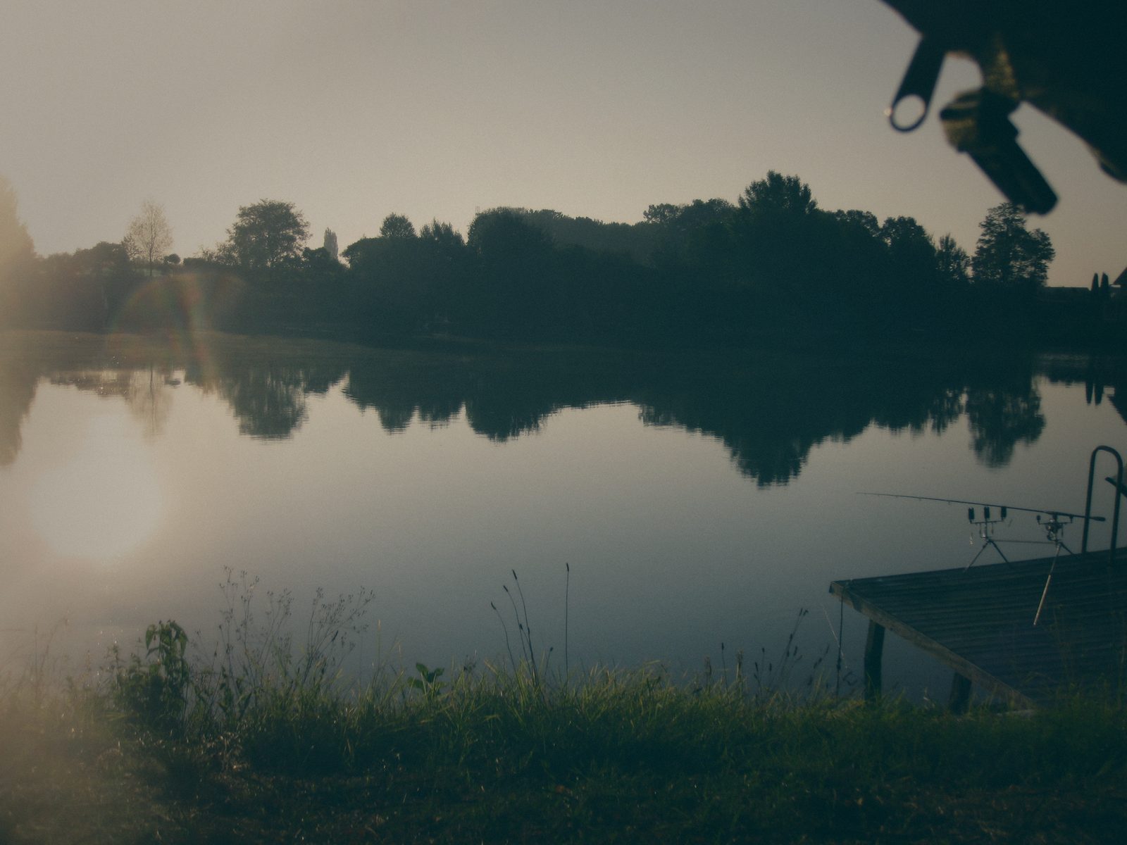 Styria Carp