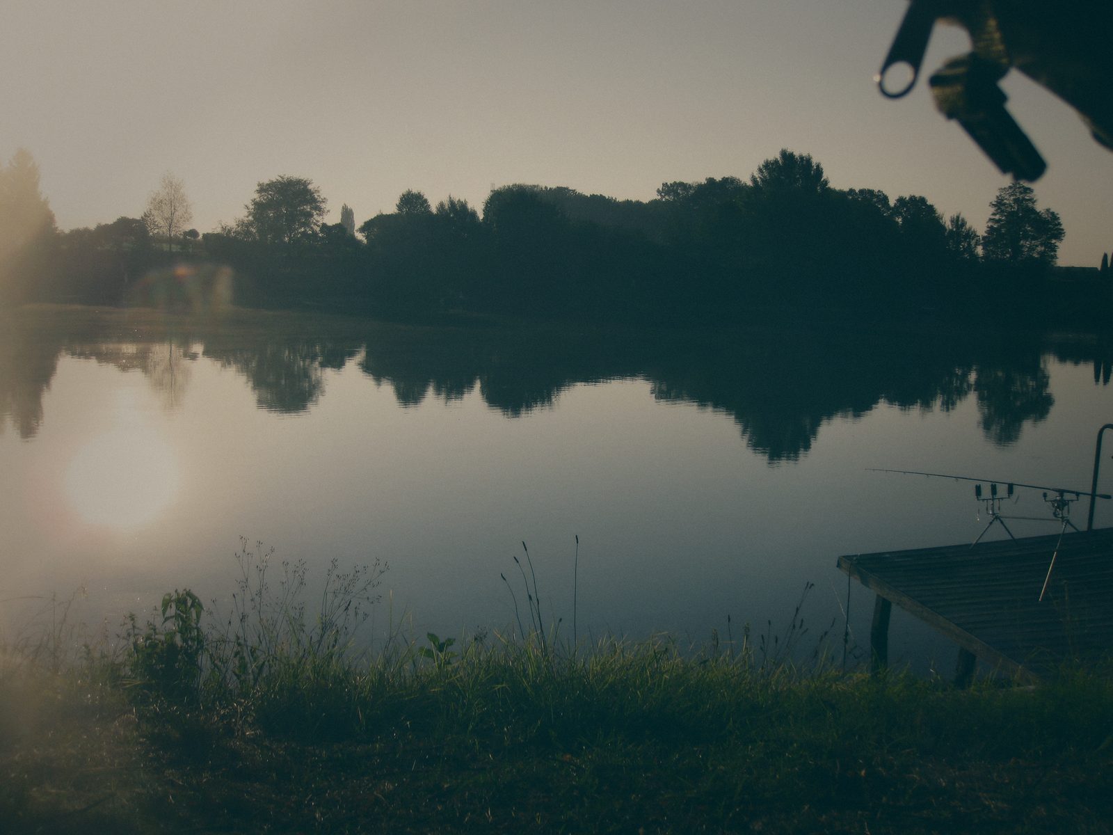 Styria Carp
