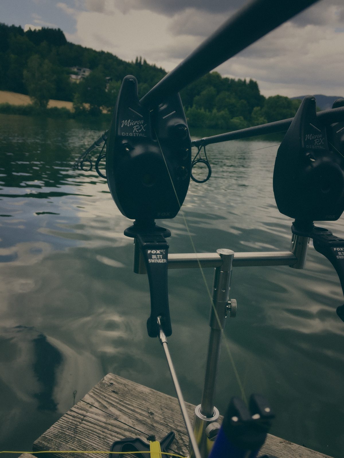 Styria Carp 2020
