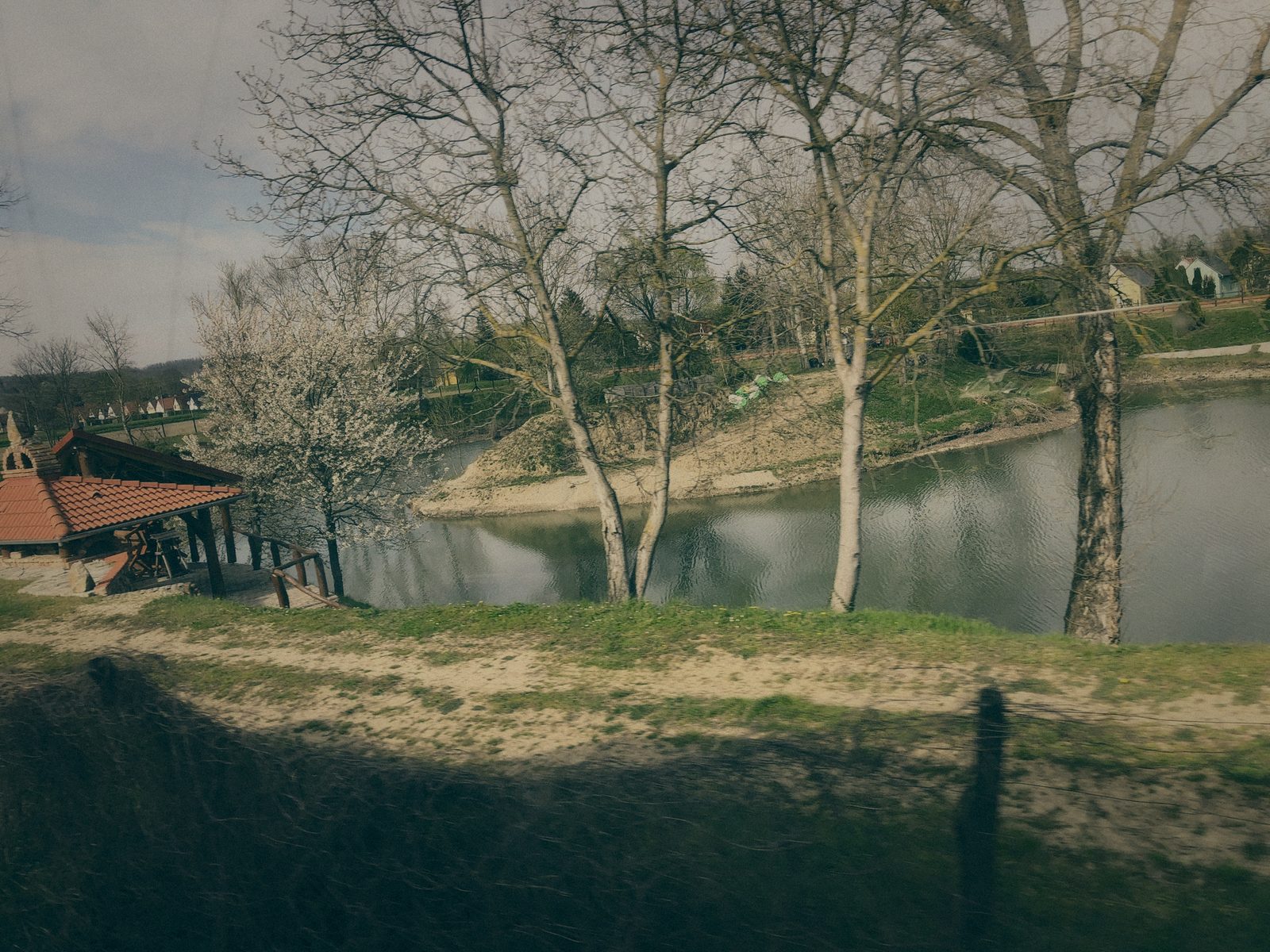 Styria Carp