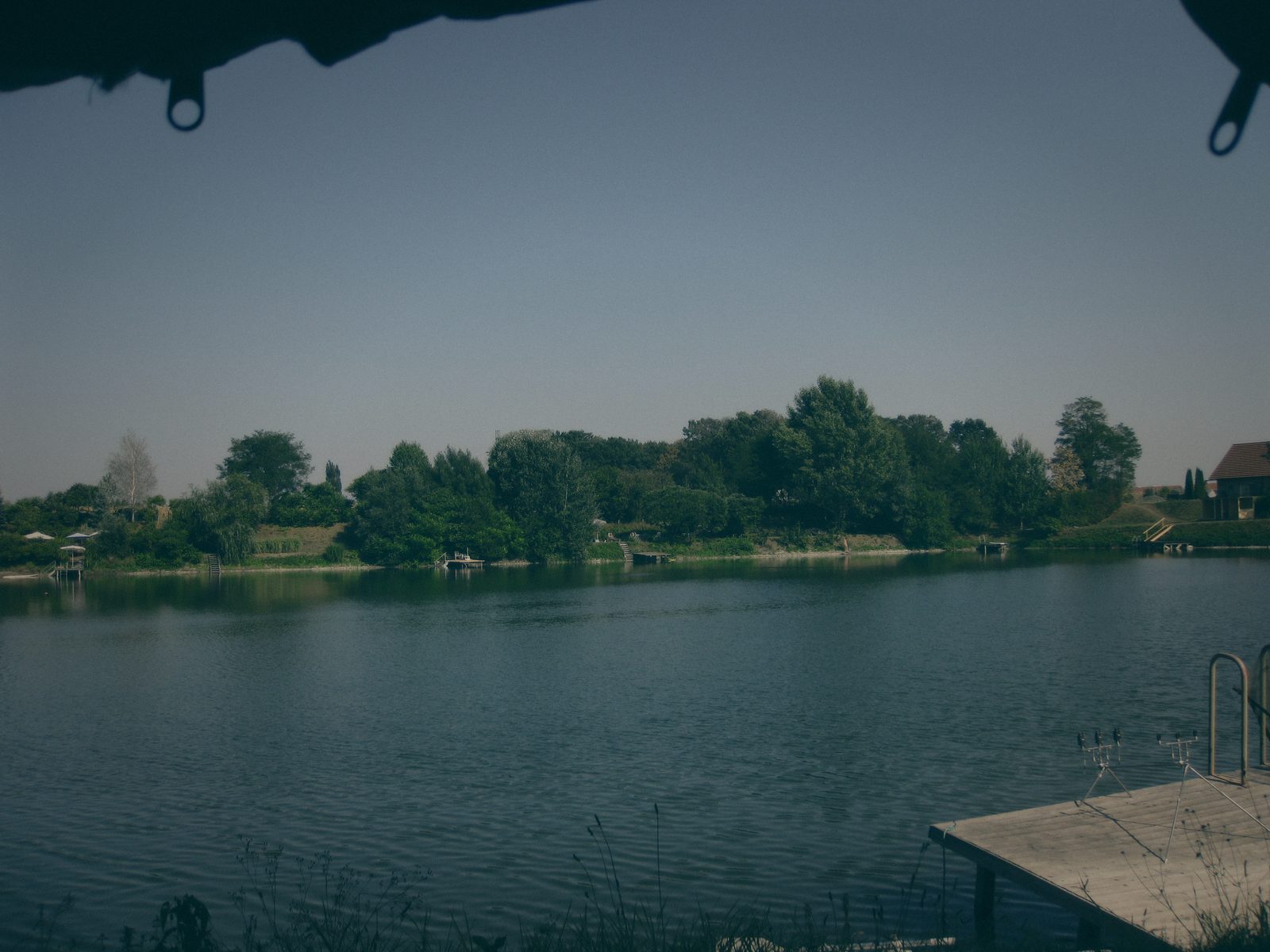Styria Carp