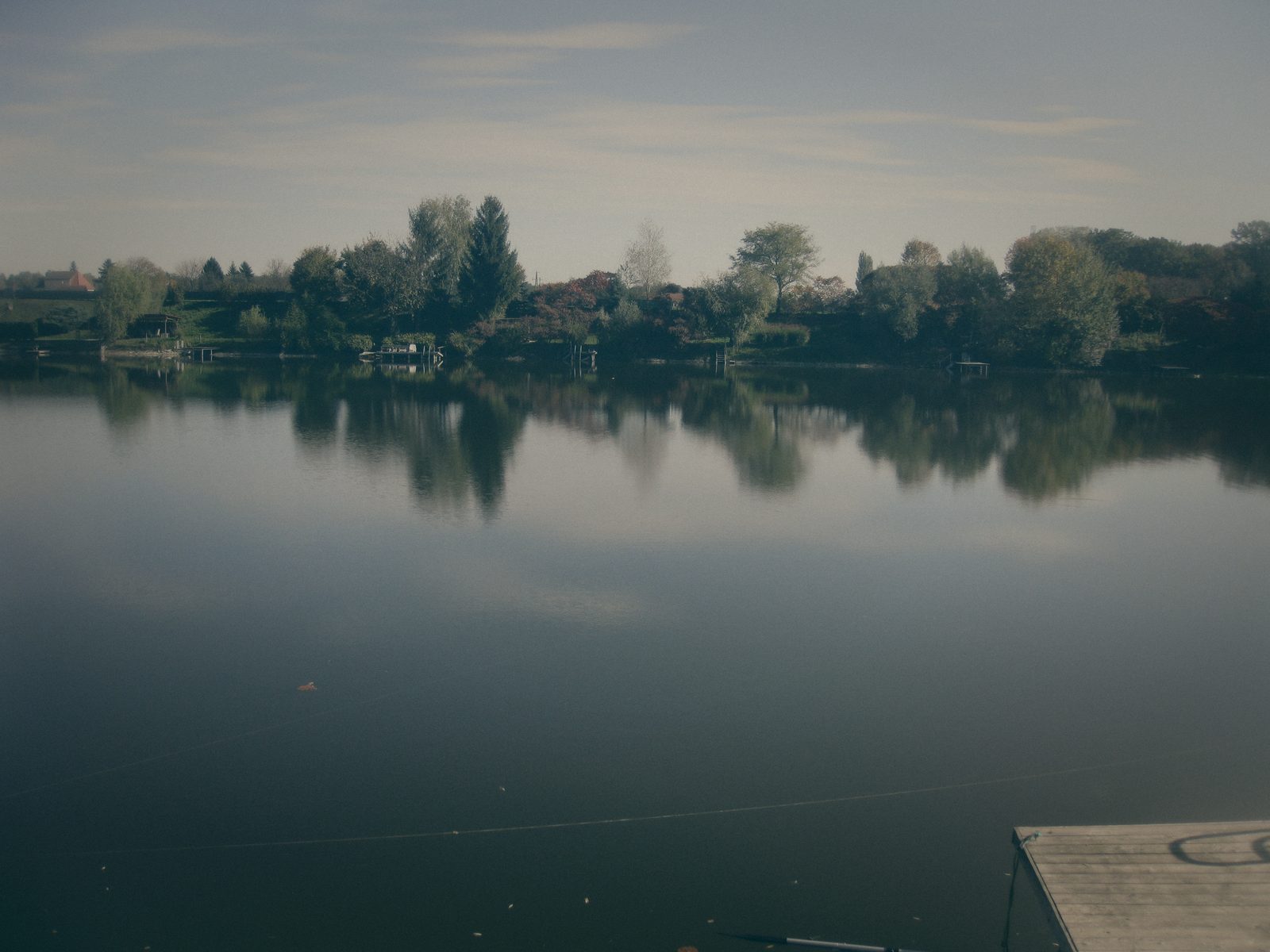Styria Carp