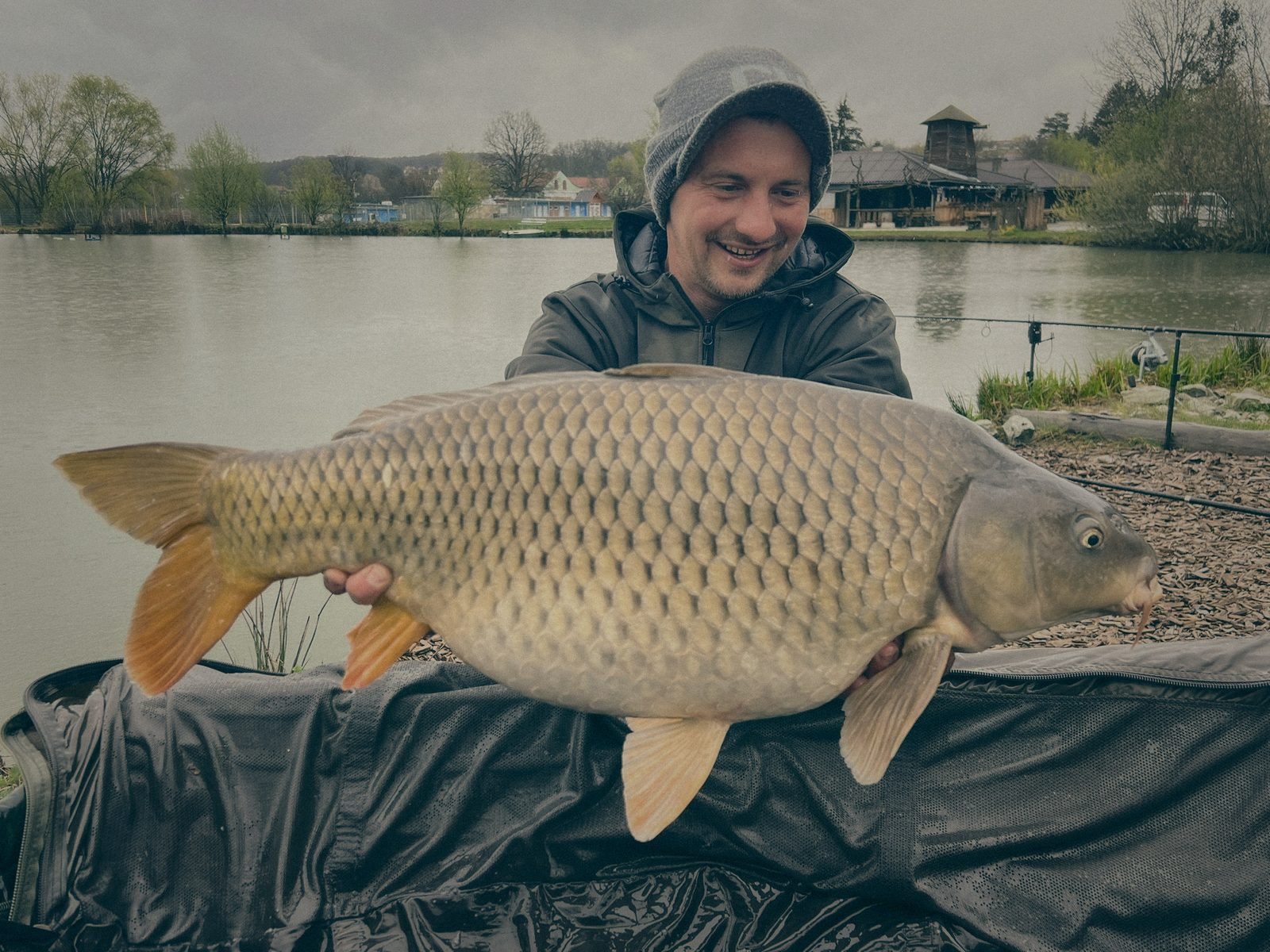 Styria Carp
