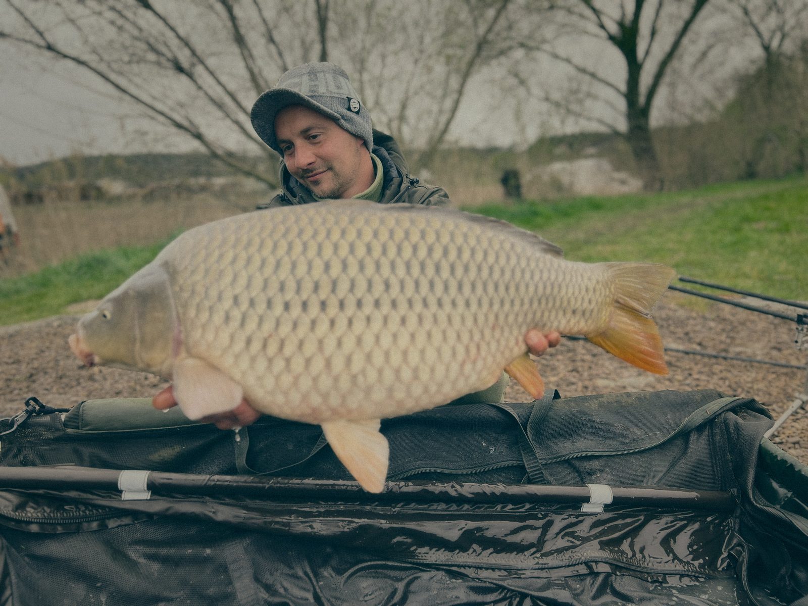 Styria Carp