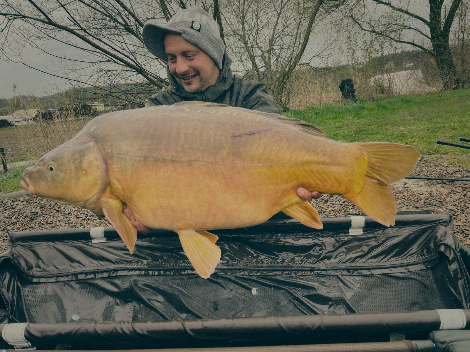 Styria Carp
