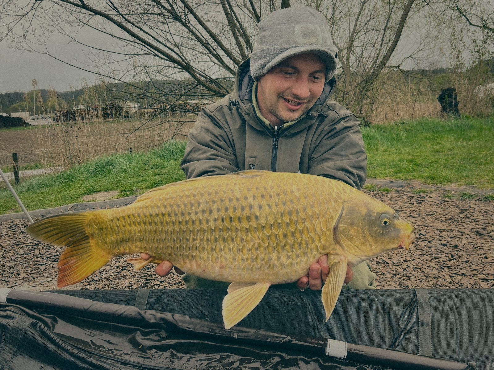 Styria Carp