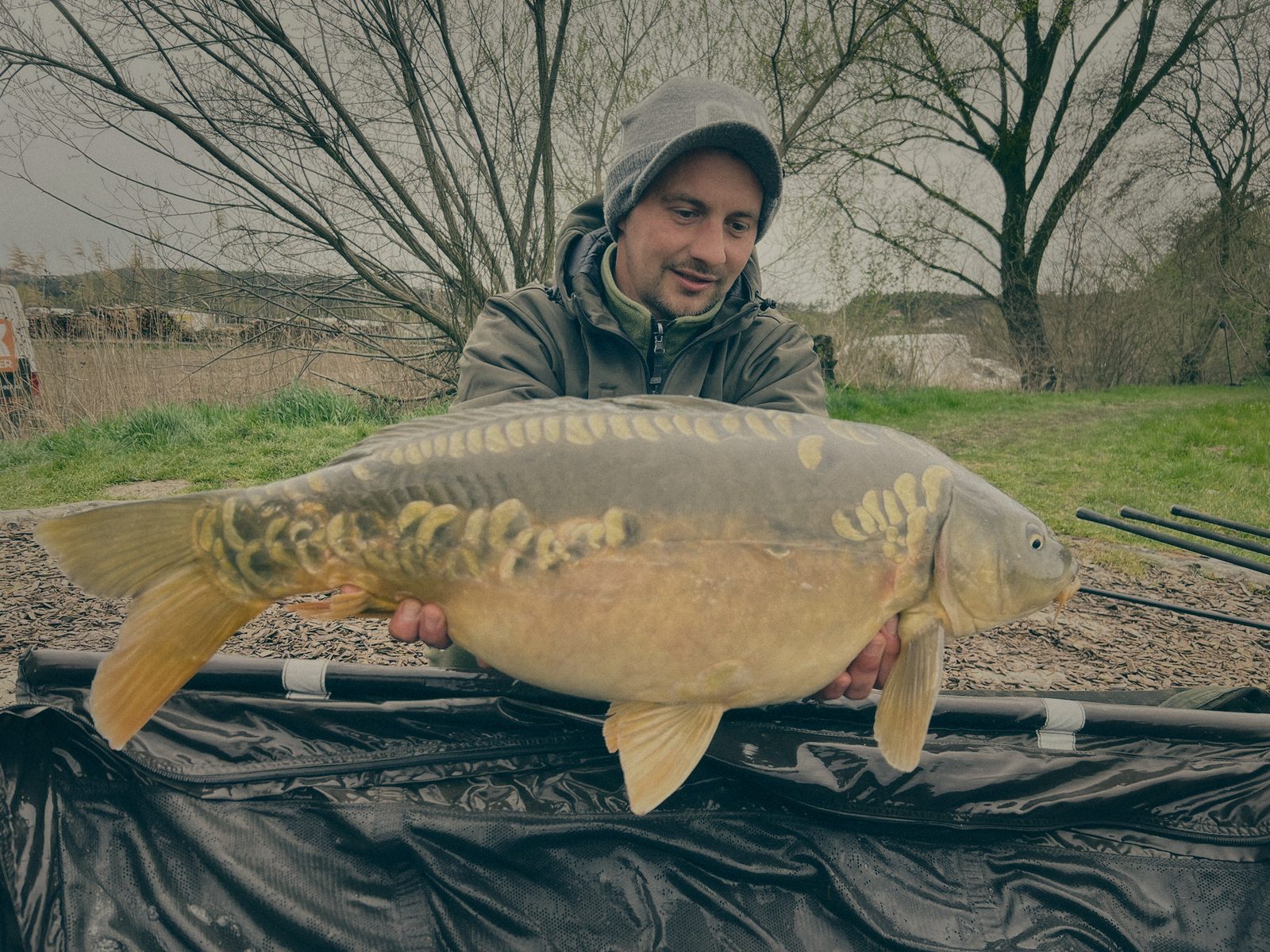 Styria Carp