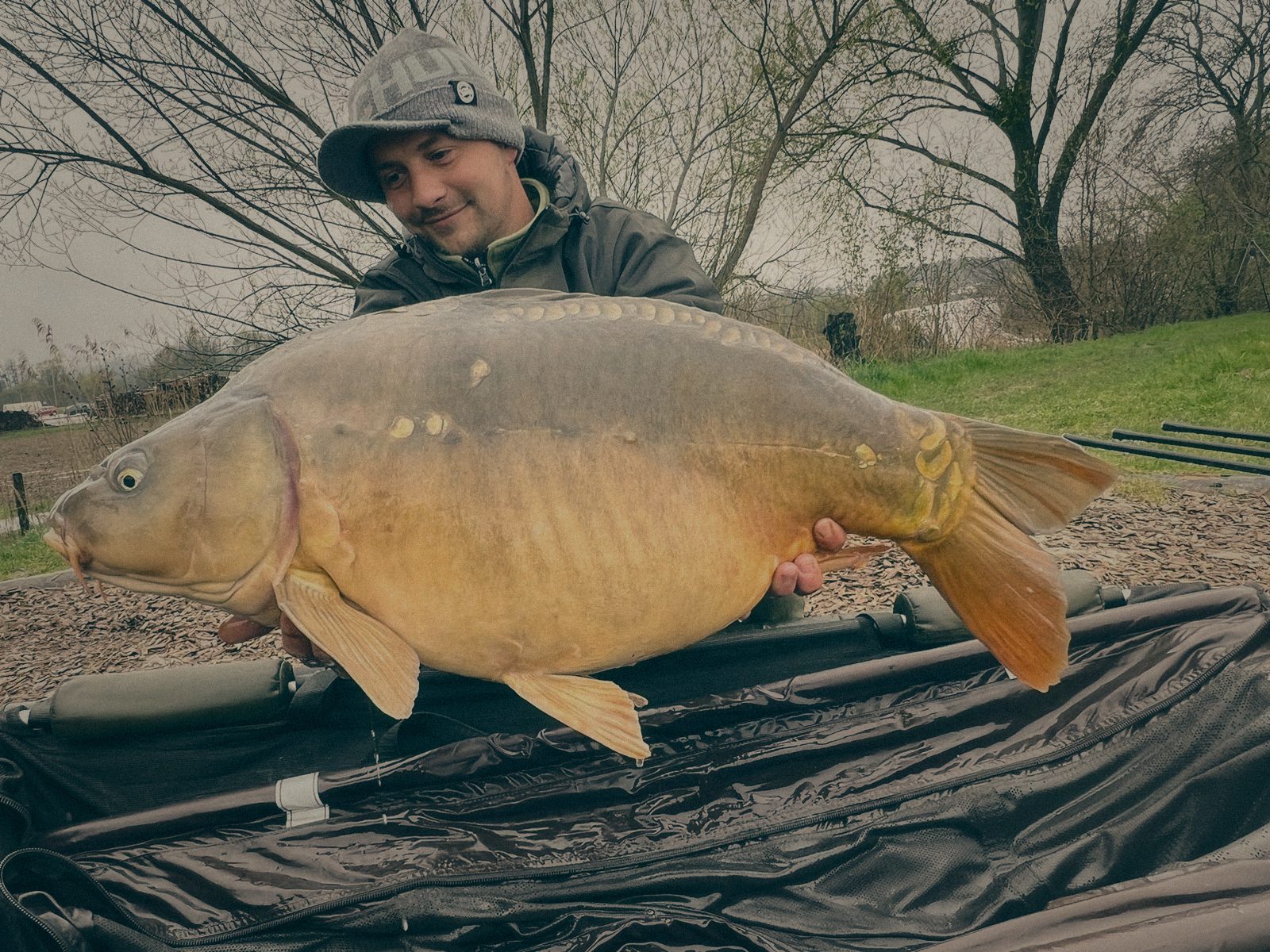 Styria Carp