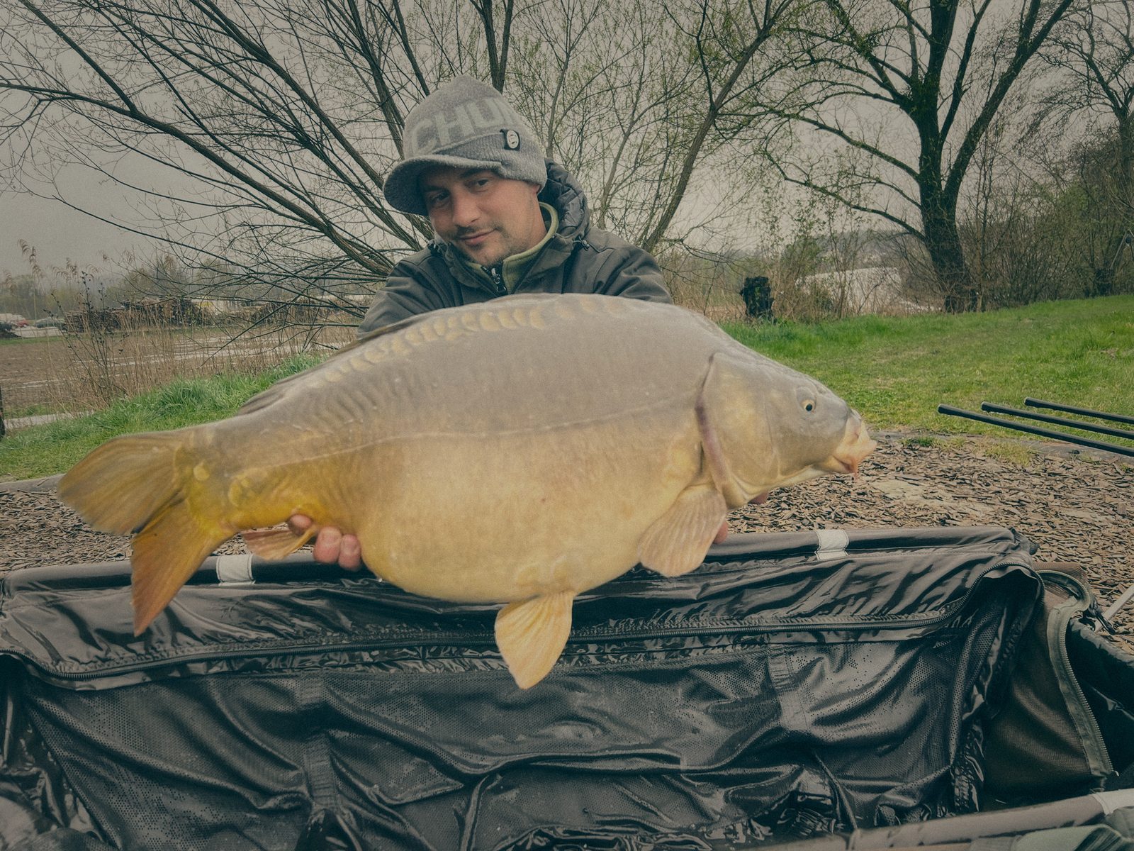 Styria Carp
