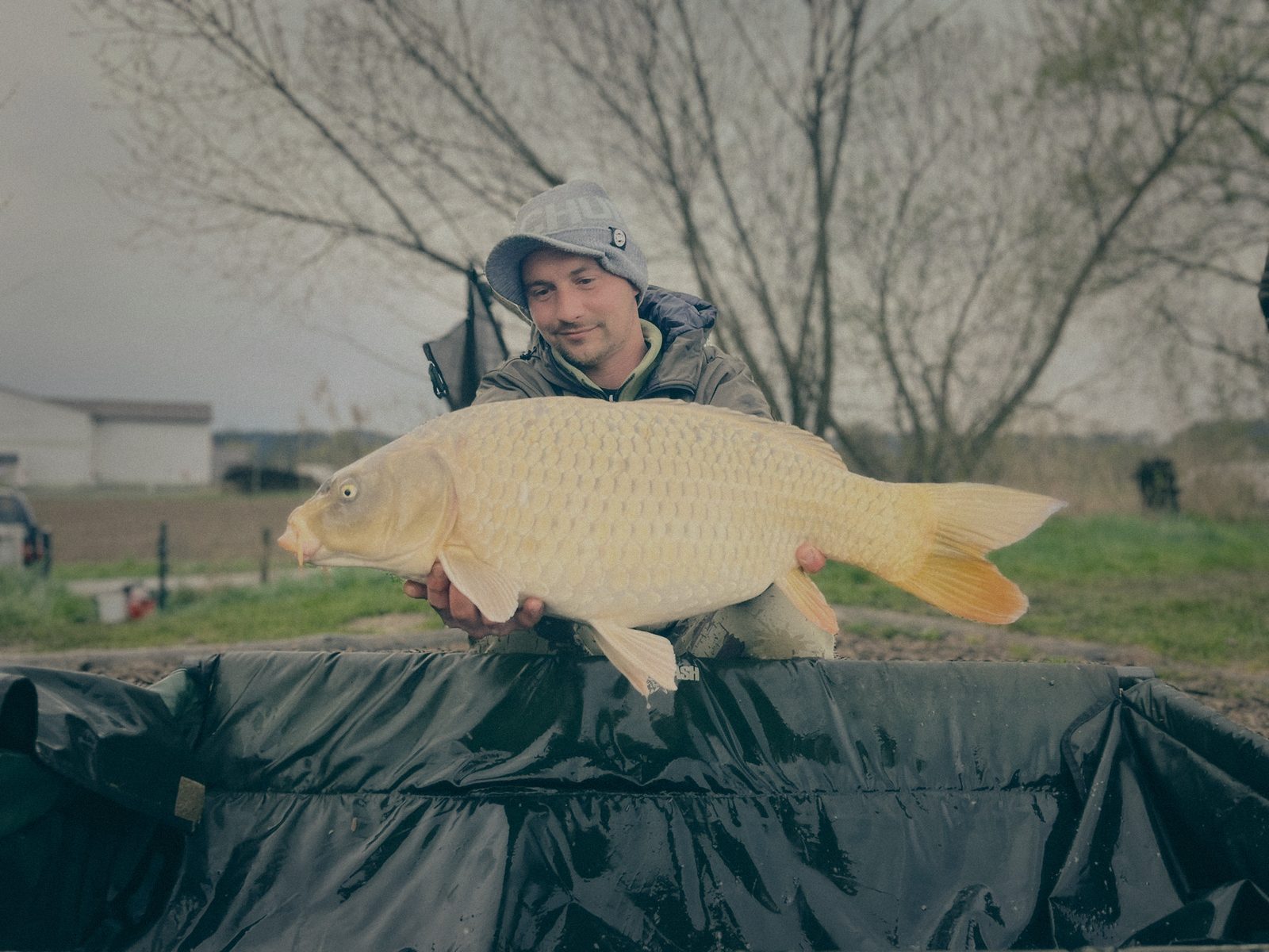 Styria Carp