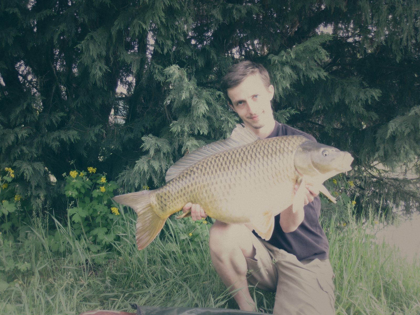 Styria Carp
