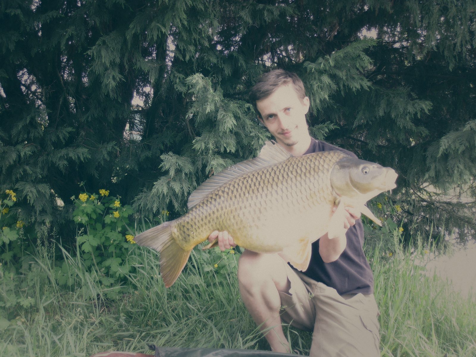 Styria Carp