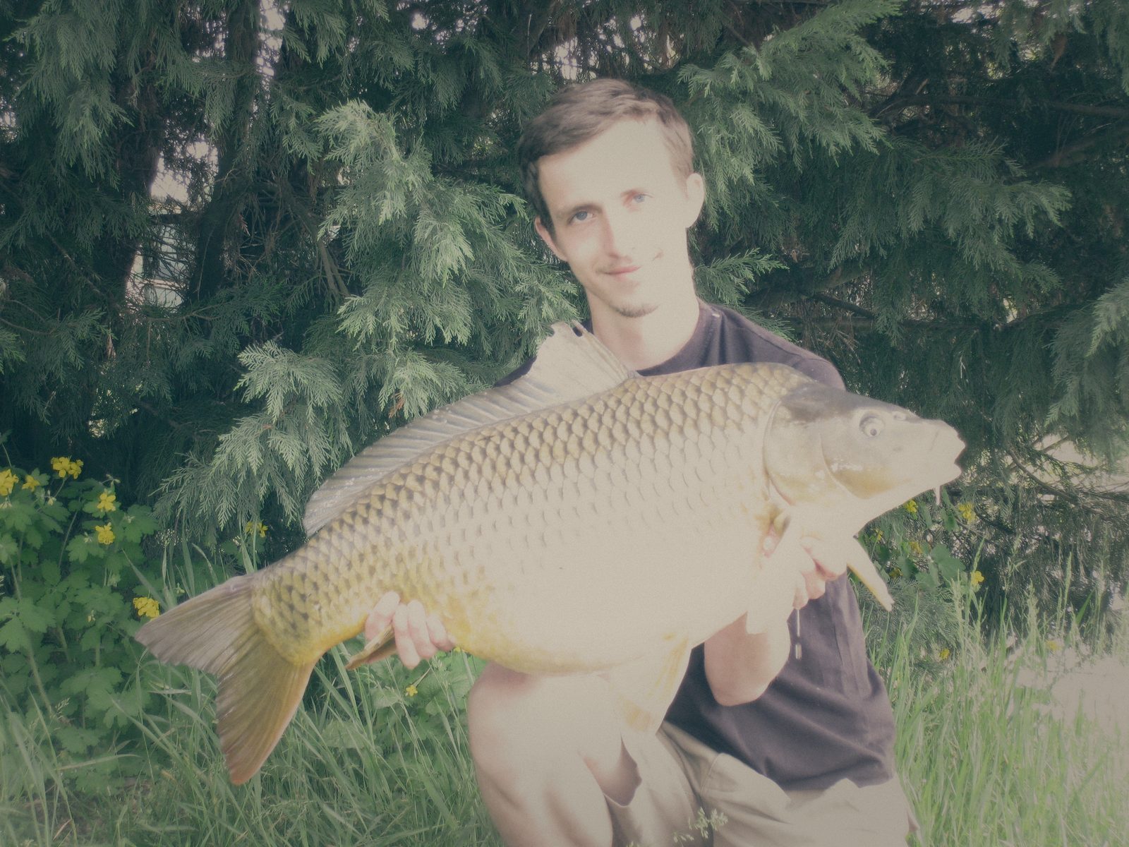 Styria Carp