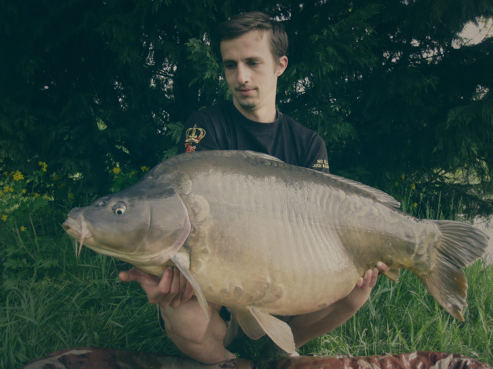 Styria Carp