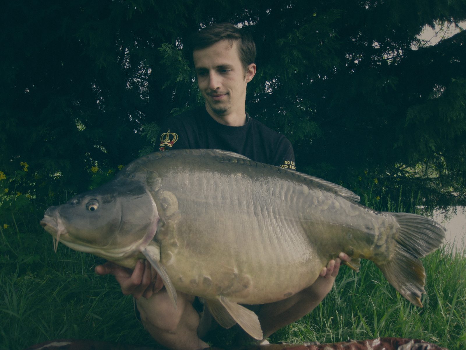 Styria Carp