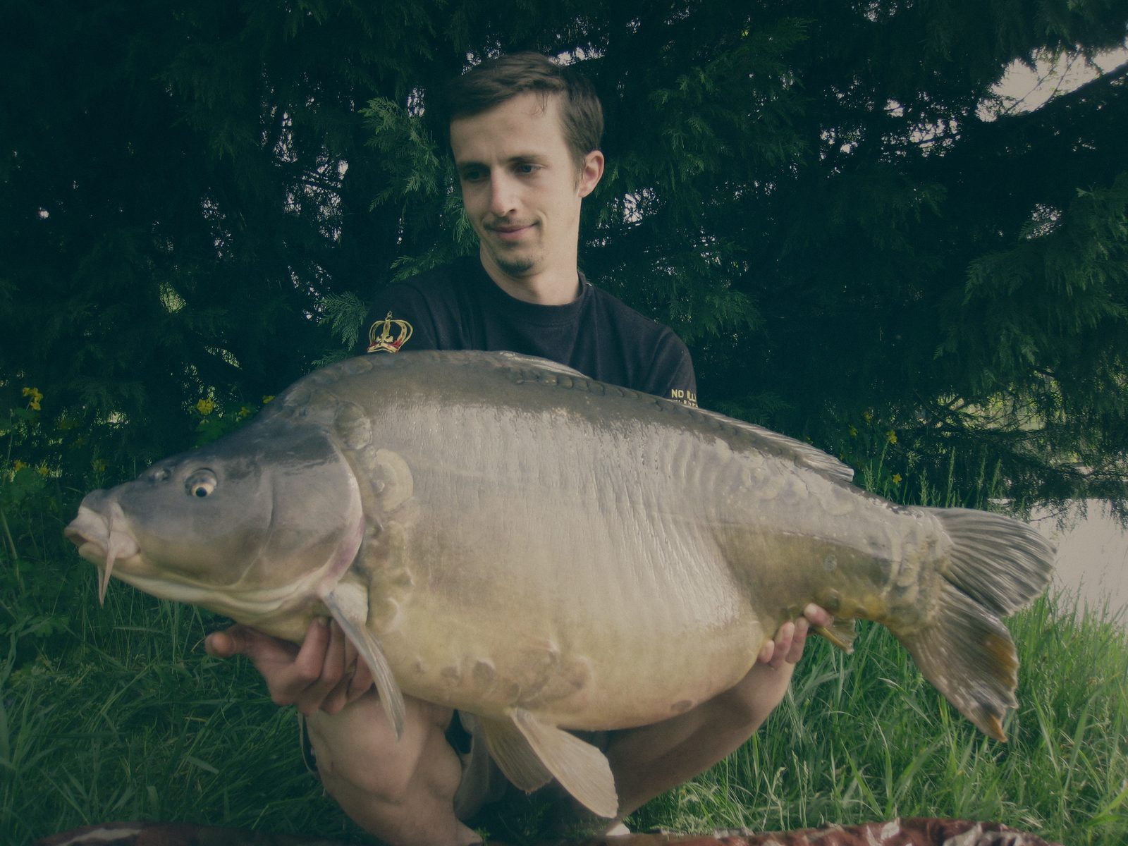 Styria Carp
