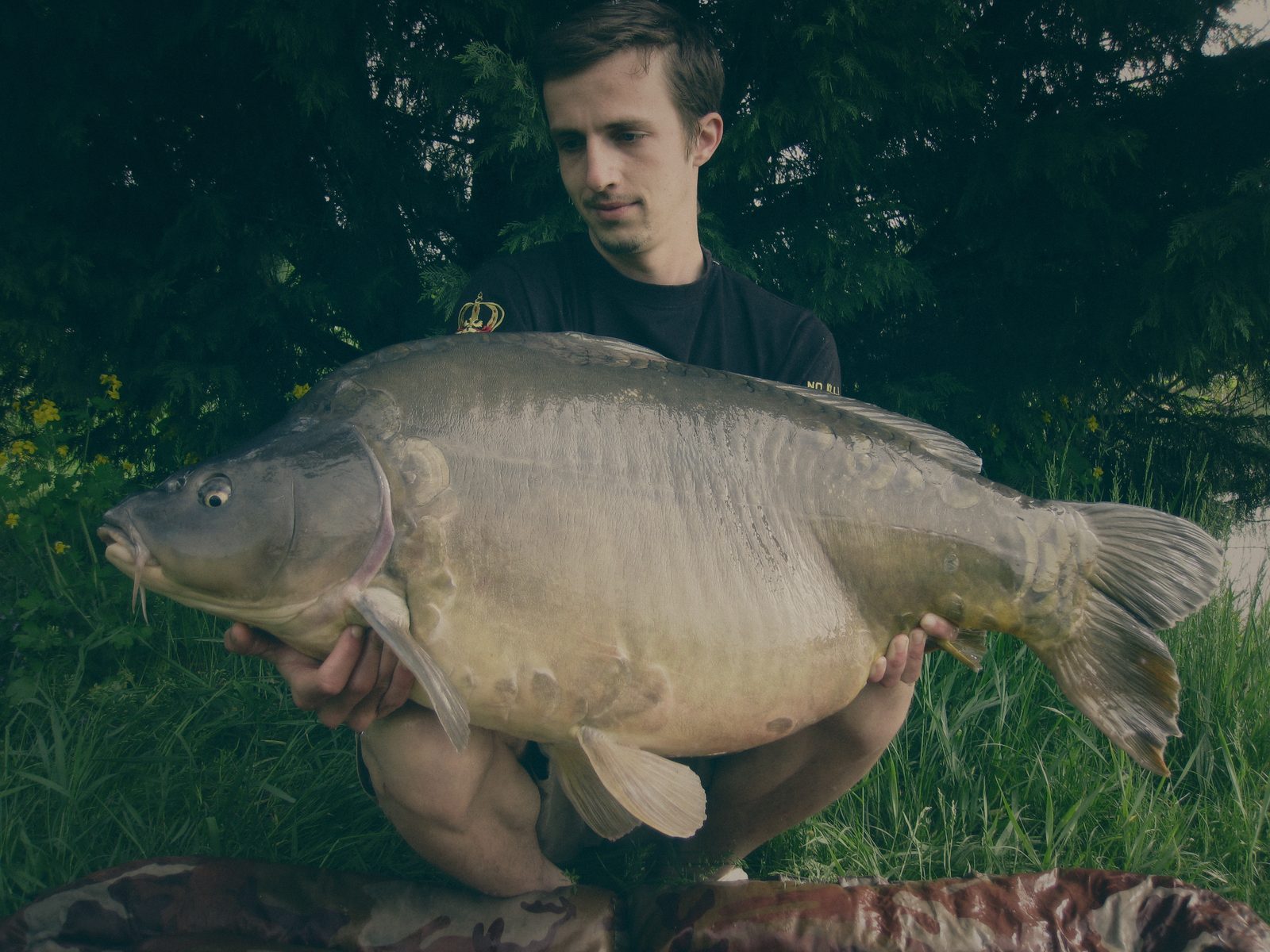 Styria Carp