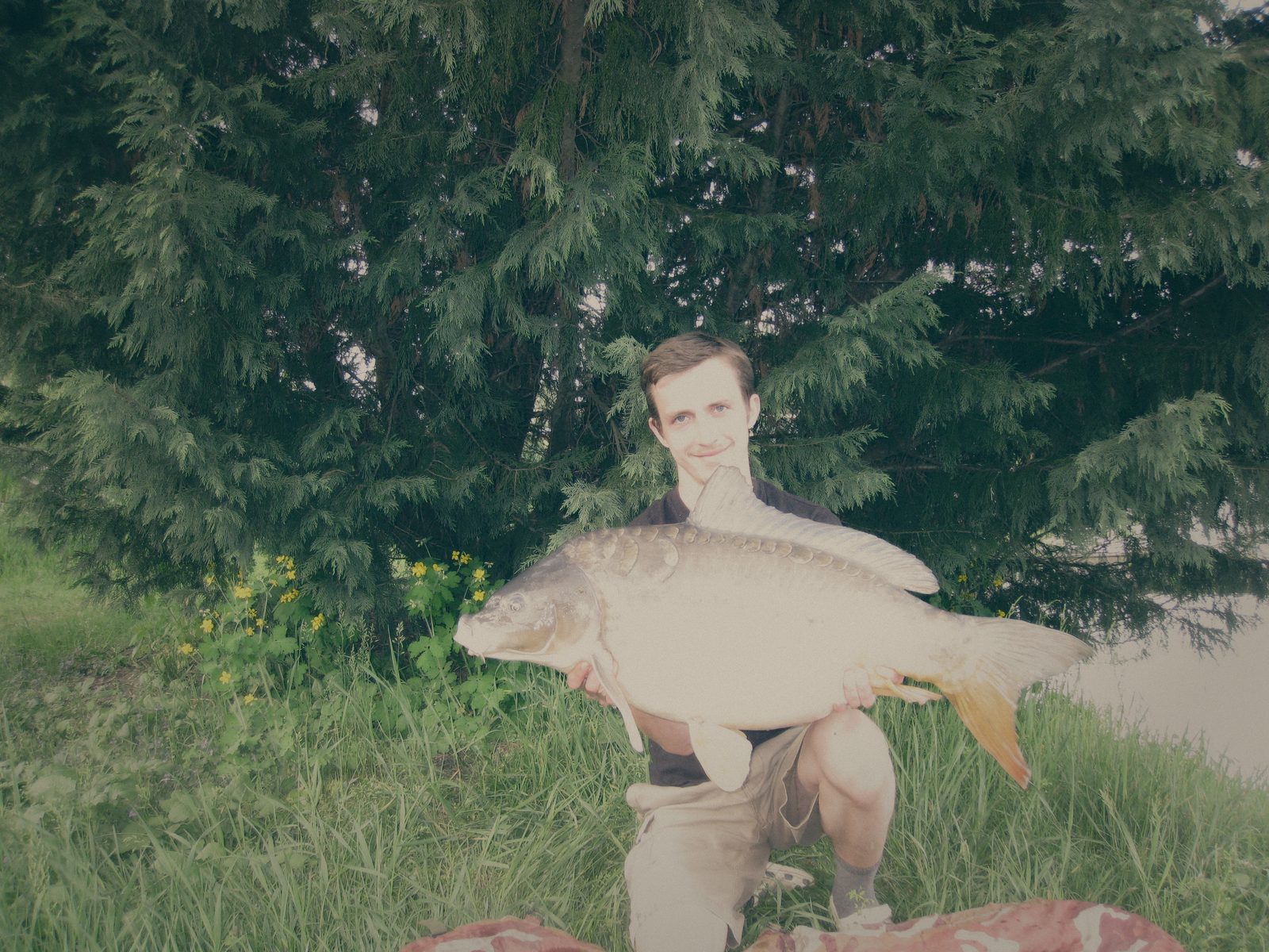 Styria Carp