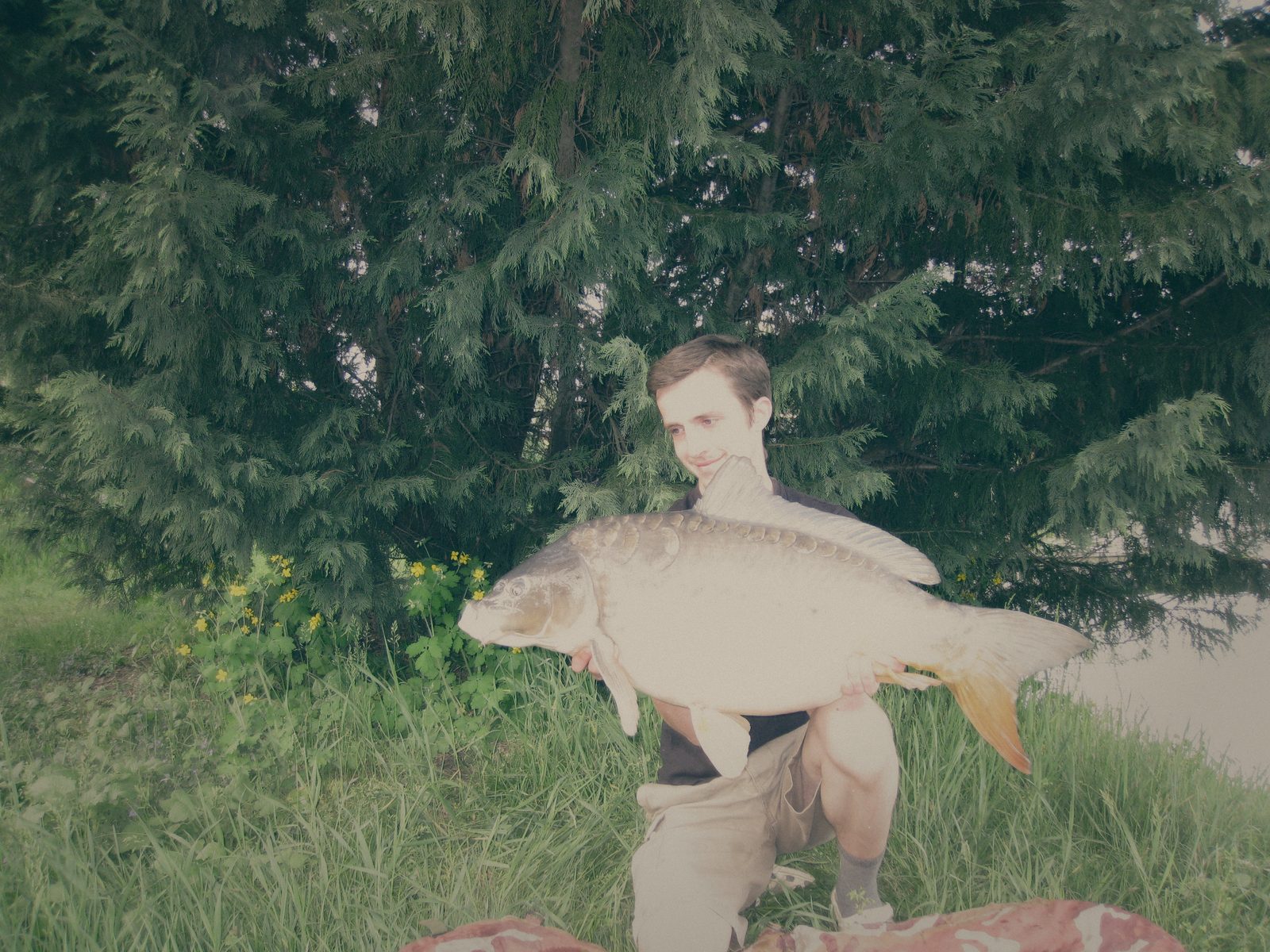 Styria Carp