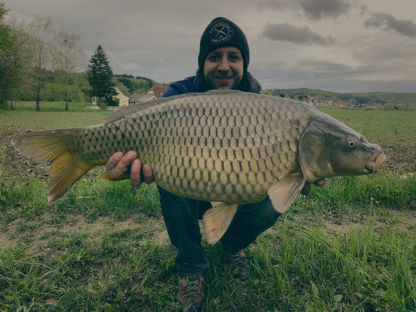 Styria Carp