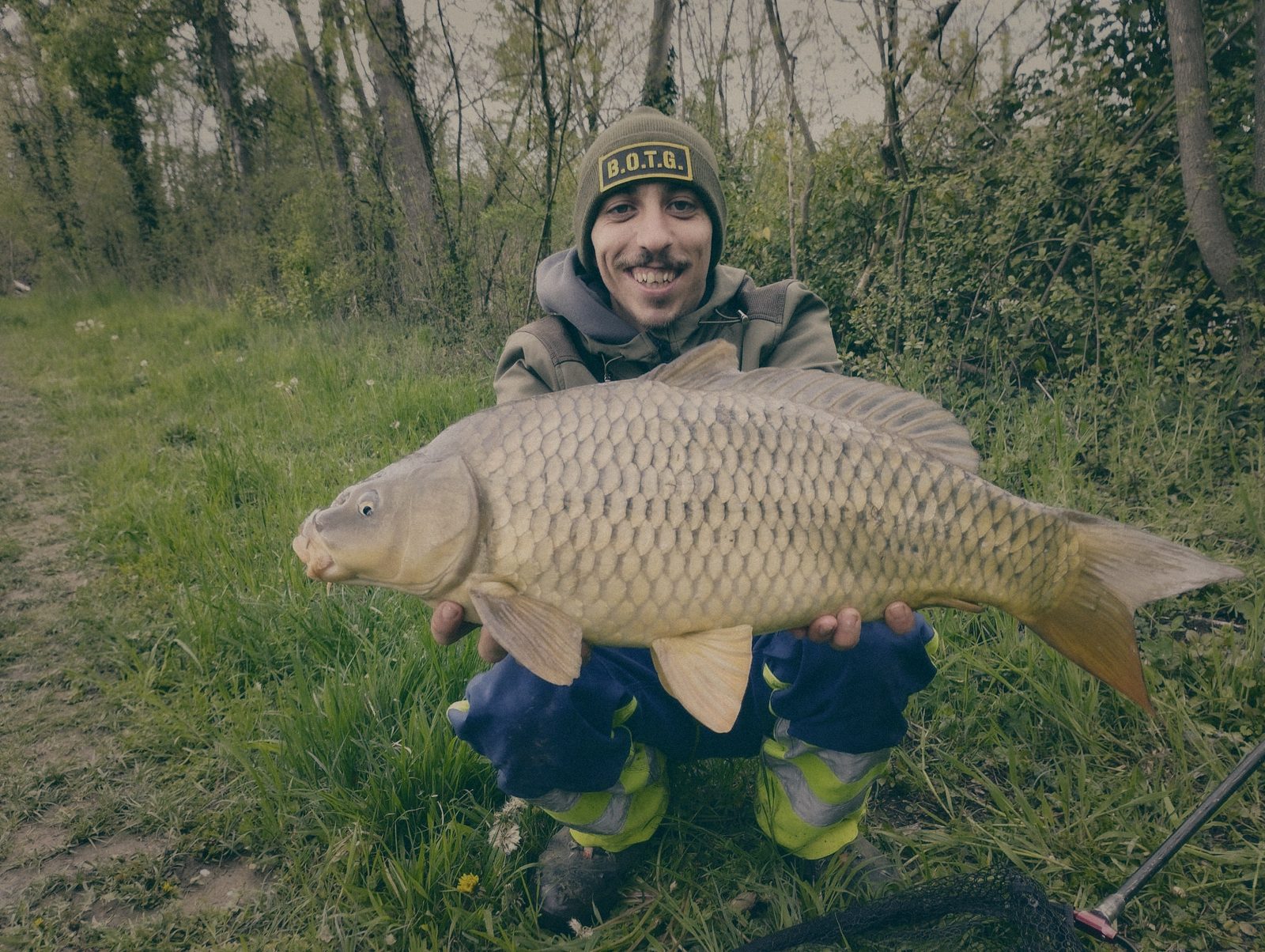 Styria Carp