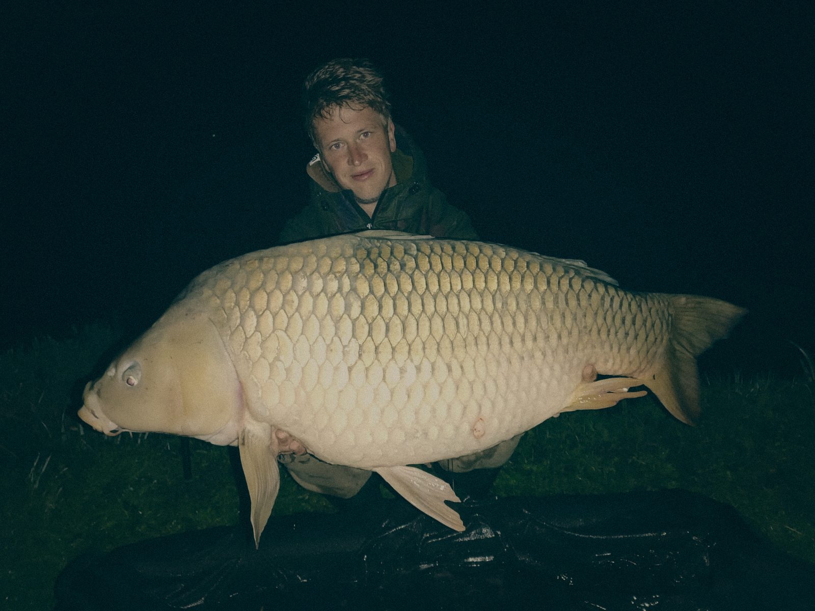 Styria Carp