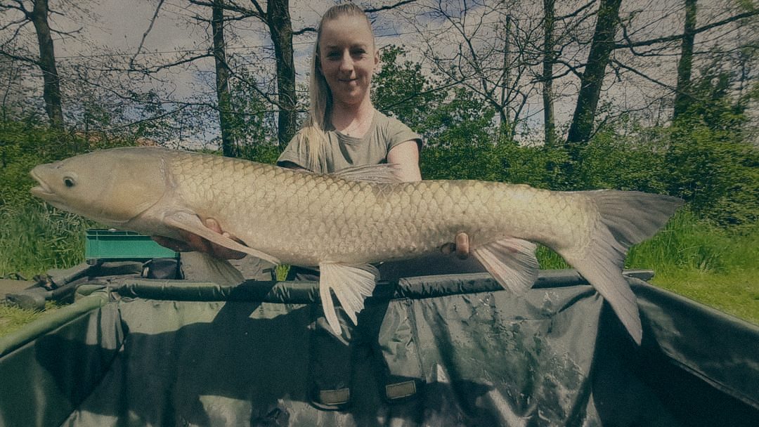 Styria Carp