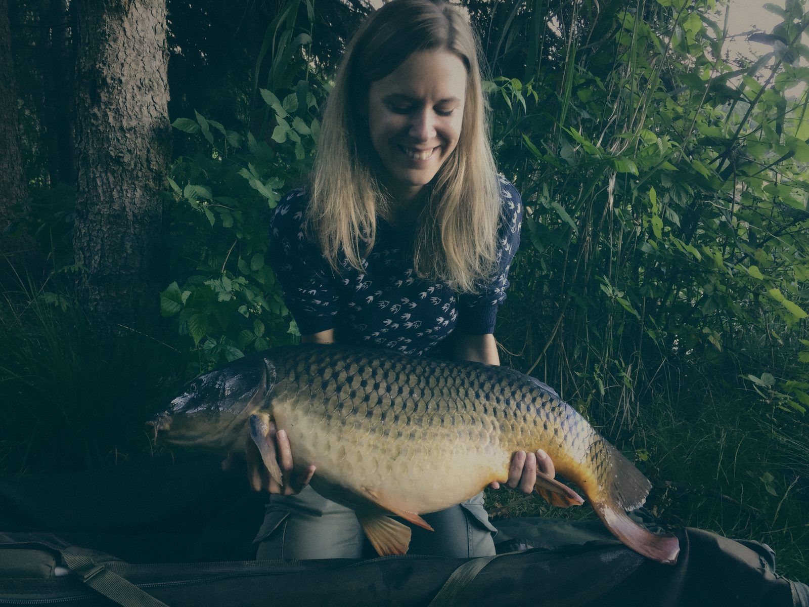 Styria Carp