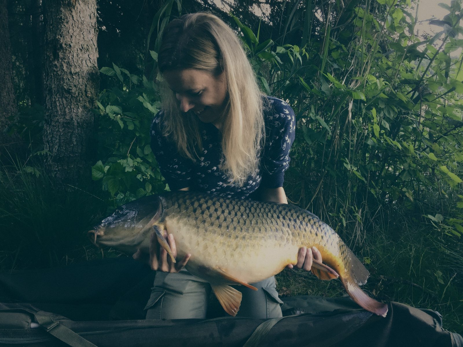 Styria Carp
