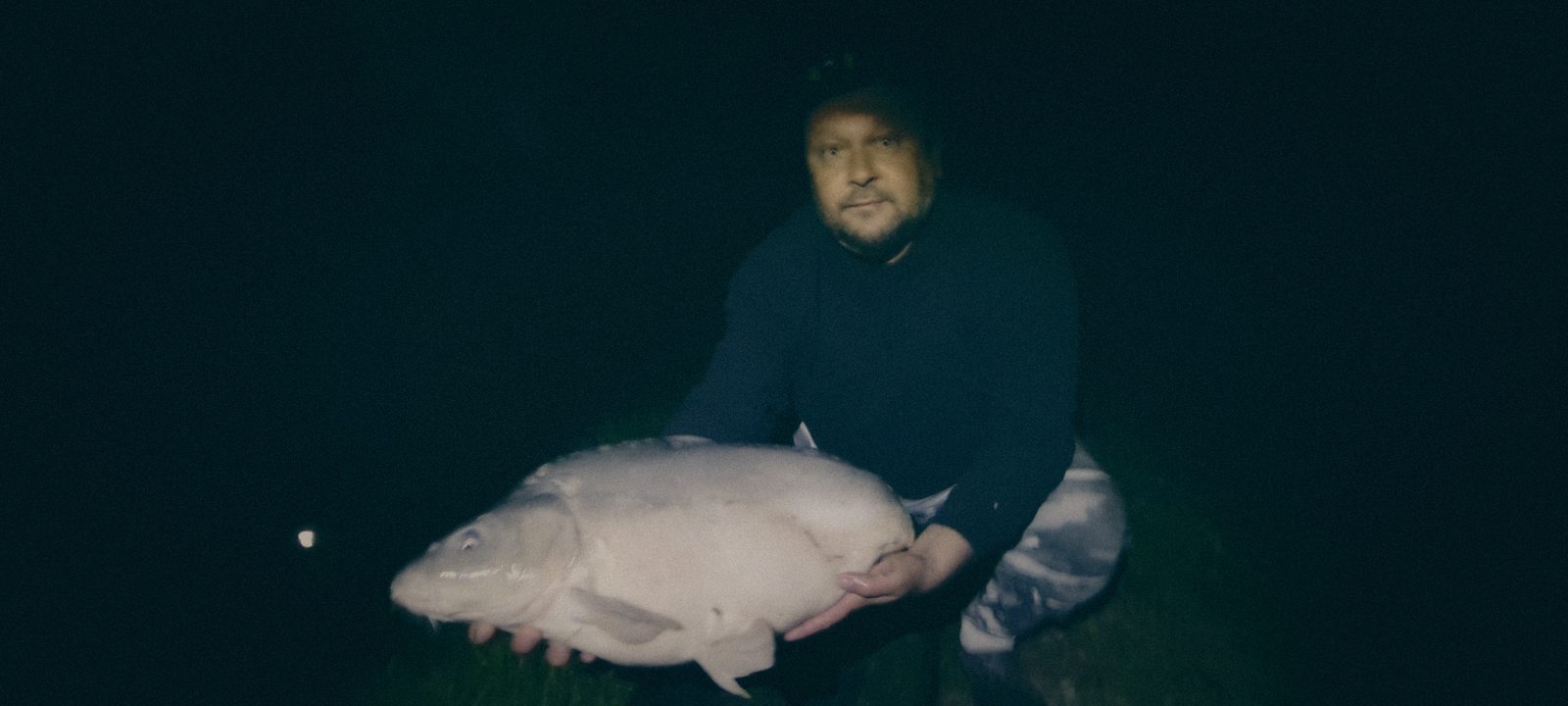 Styria Carp