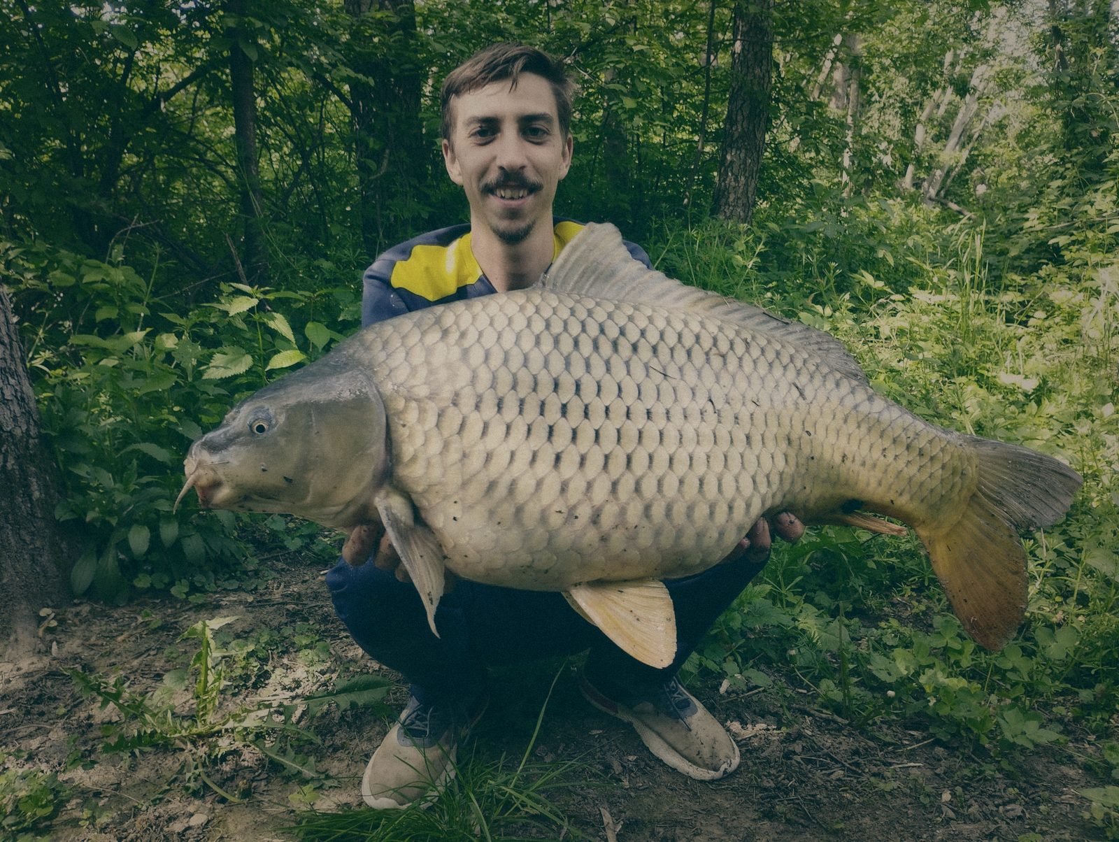 Styria Carp