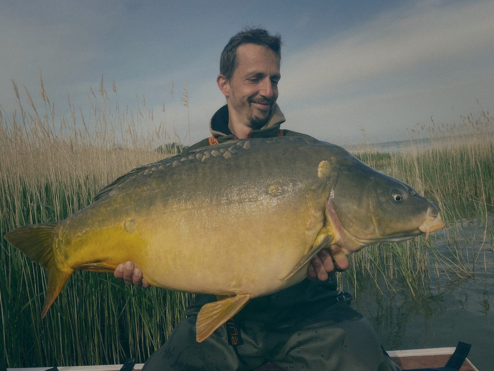 Styria Carp