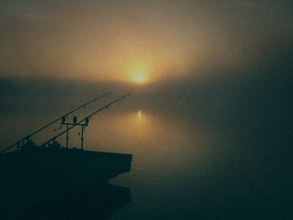 Styria Carp