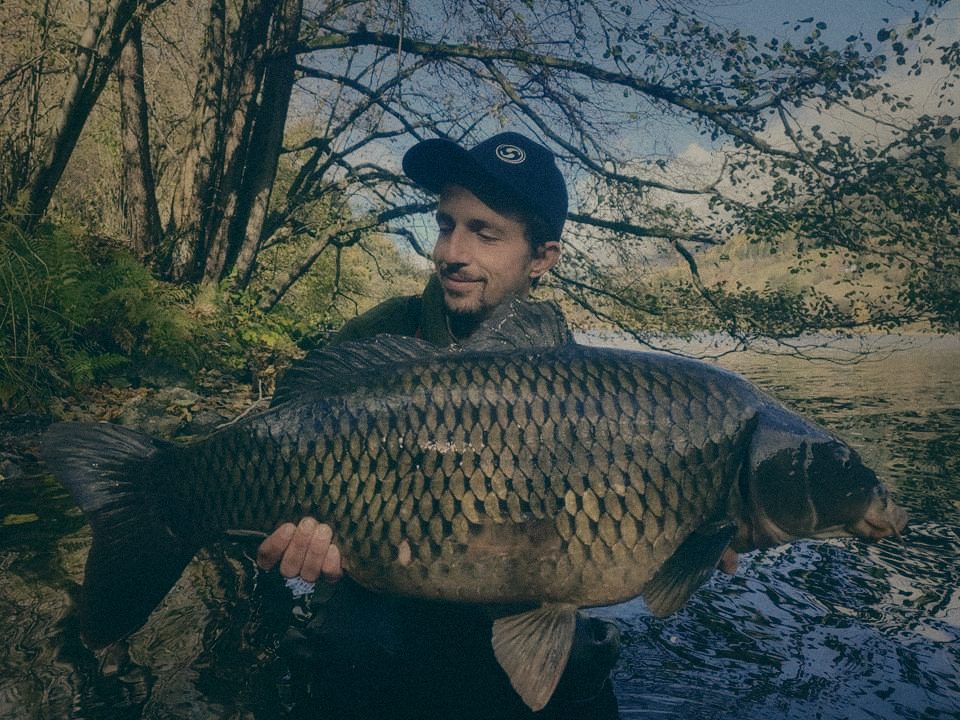 Styria Carp
