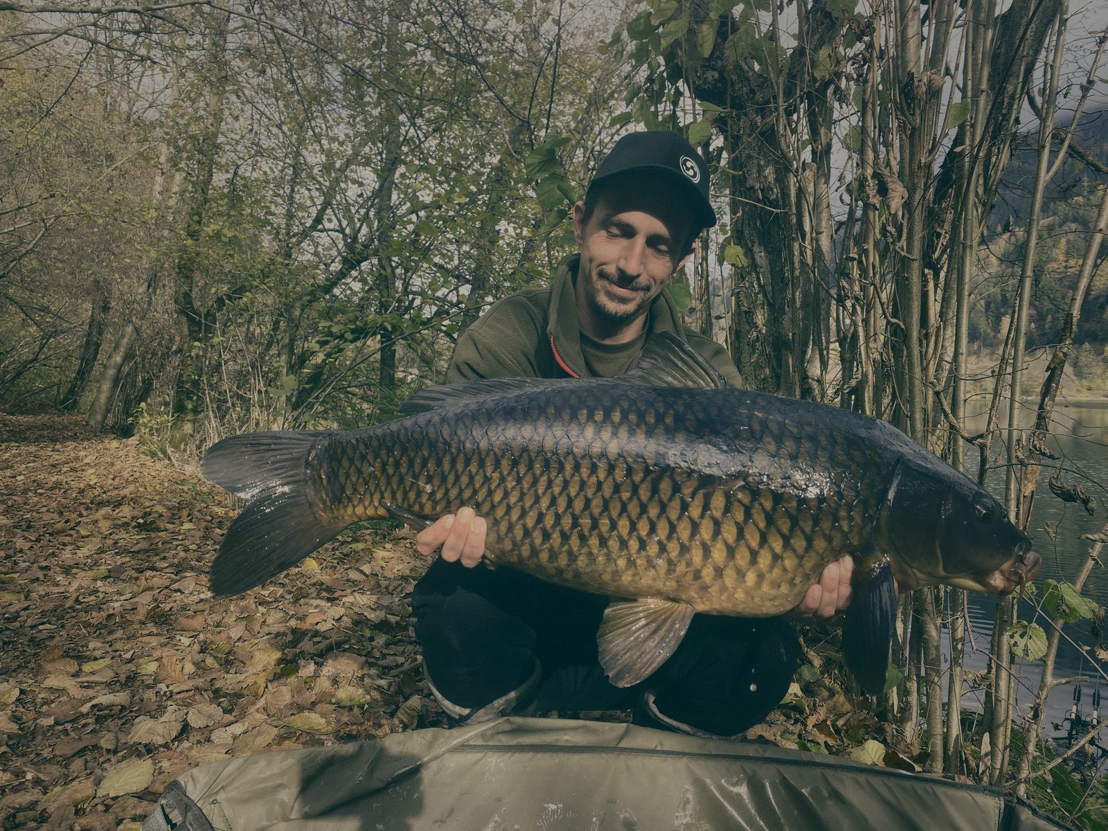 Styria Carp