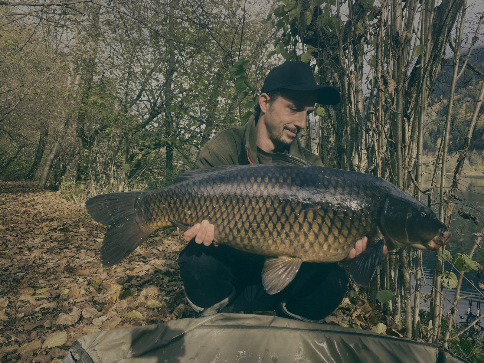 Styria Carp