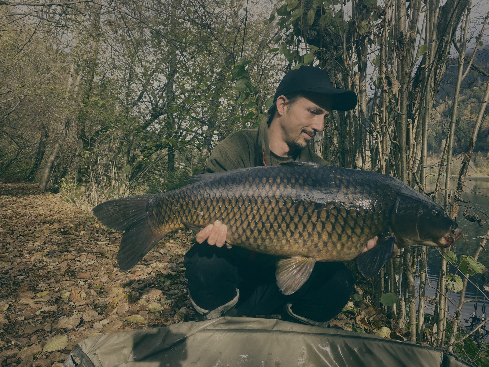 Styria Carp